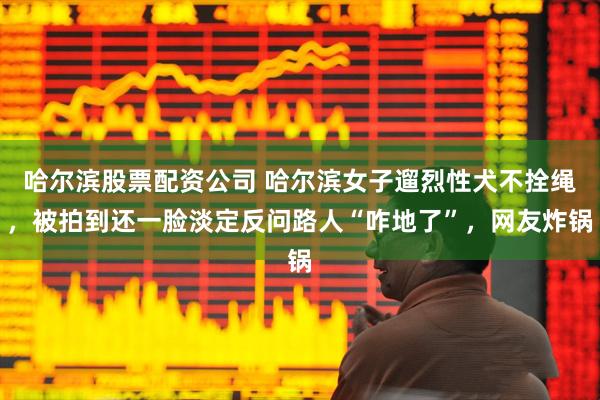哈尔滨股票配资公司 哈尔滨女子遛烈性犬不拴绳,被拍到还一脸淡定反问路人“咋地了”,网友炸锅